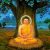 Qual foi a Linhagem do Buda Sakiamuni?